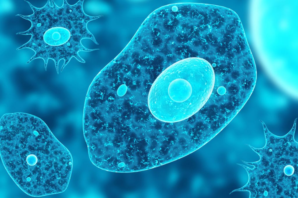 Абиогенез и загадка происхождения жизни. Как могла возникнуть первая клетка?