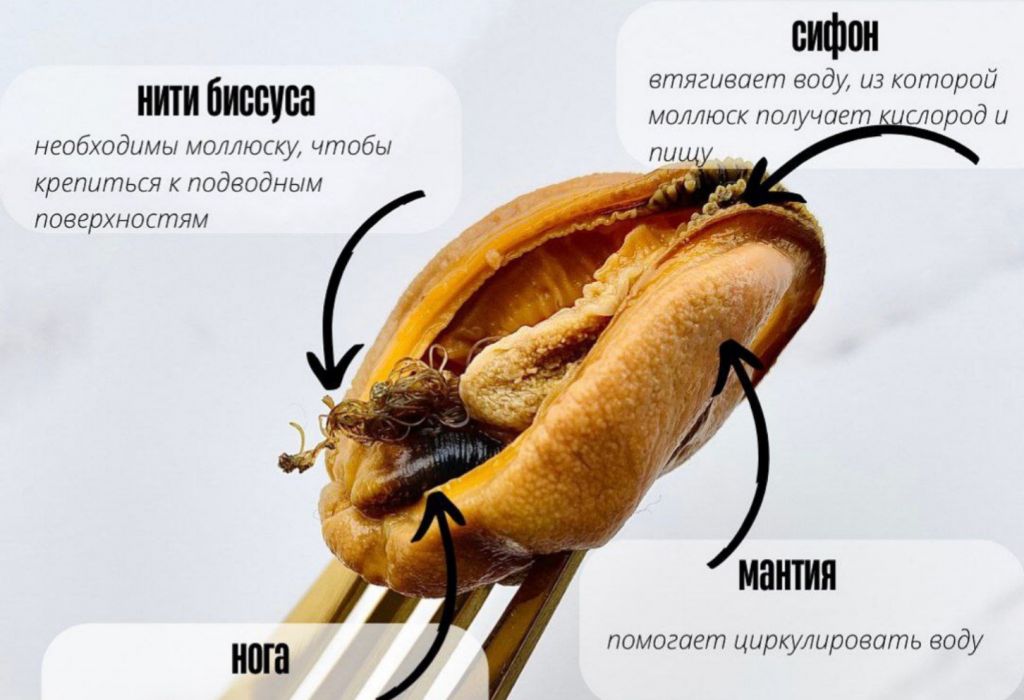 Можно ли есть мидии целиком?