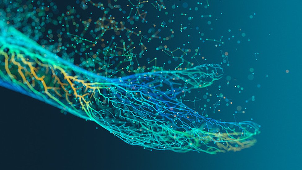 Правда ли, что все клетки в нашем организме обновляются каждые 7 лет?