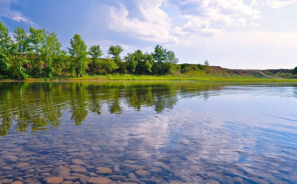 Как появилось выражение «вывести на чистую воду» и что оно означало?